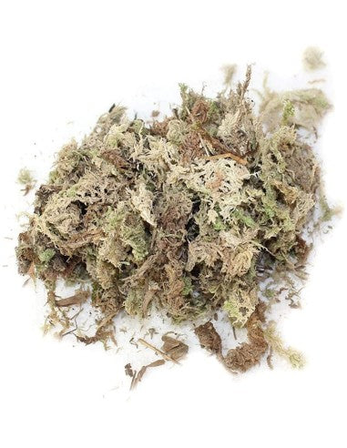 Zoomed New Zealand Sphagnum Moss 150g