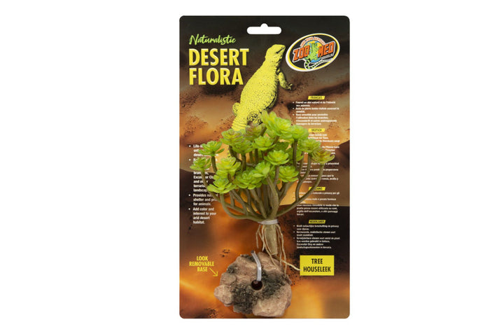 Zoomed Plant Tree Houseleek