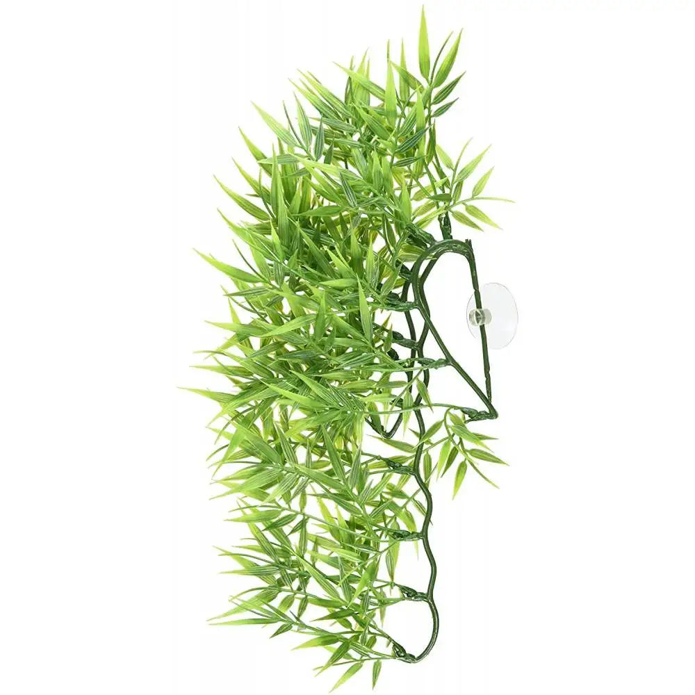 Zoomed Naturalistic Flora Madagascar Bamboo