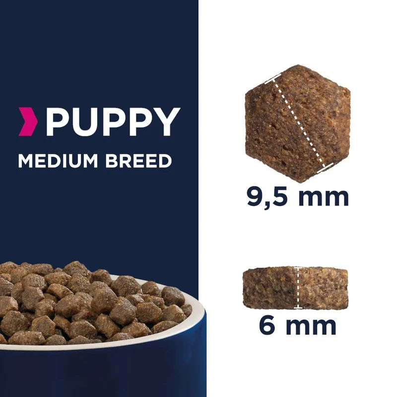 Eukanuba Puppy Medium Breed 12kg (1 palette - 10 sacs)