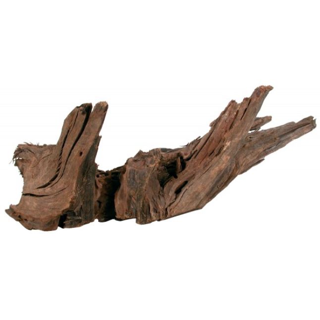 Racine Mangrove Medium 25/40cm