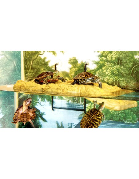Zoomed Turtle Dock Petit Modèle