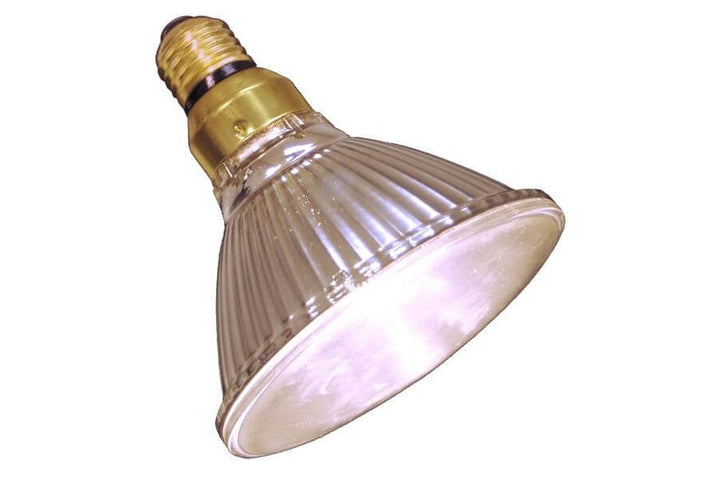 Zoomed Lampe Halogène Étanche 75W