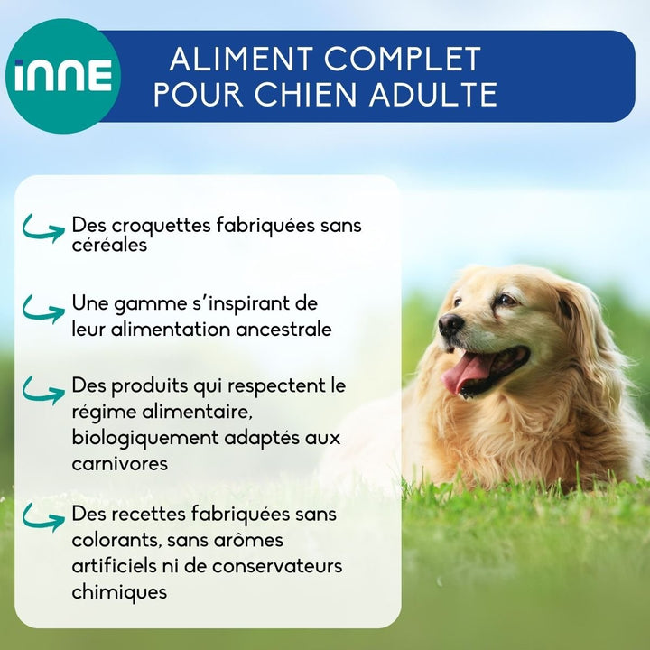 INNE Chien Nutrition Volaille 3kg