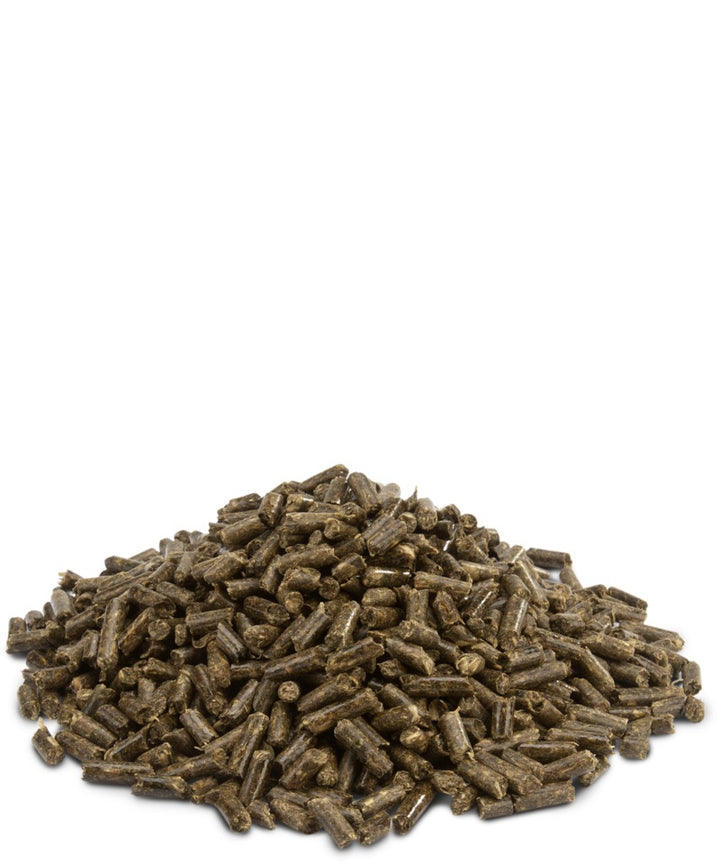 Versele-Laga Crispy Pellets Chinchilla & Octodon