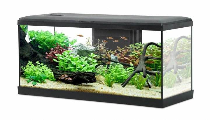 Zolux Aquarium Tana 84L