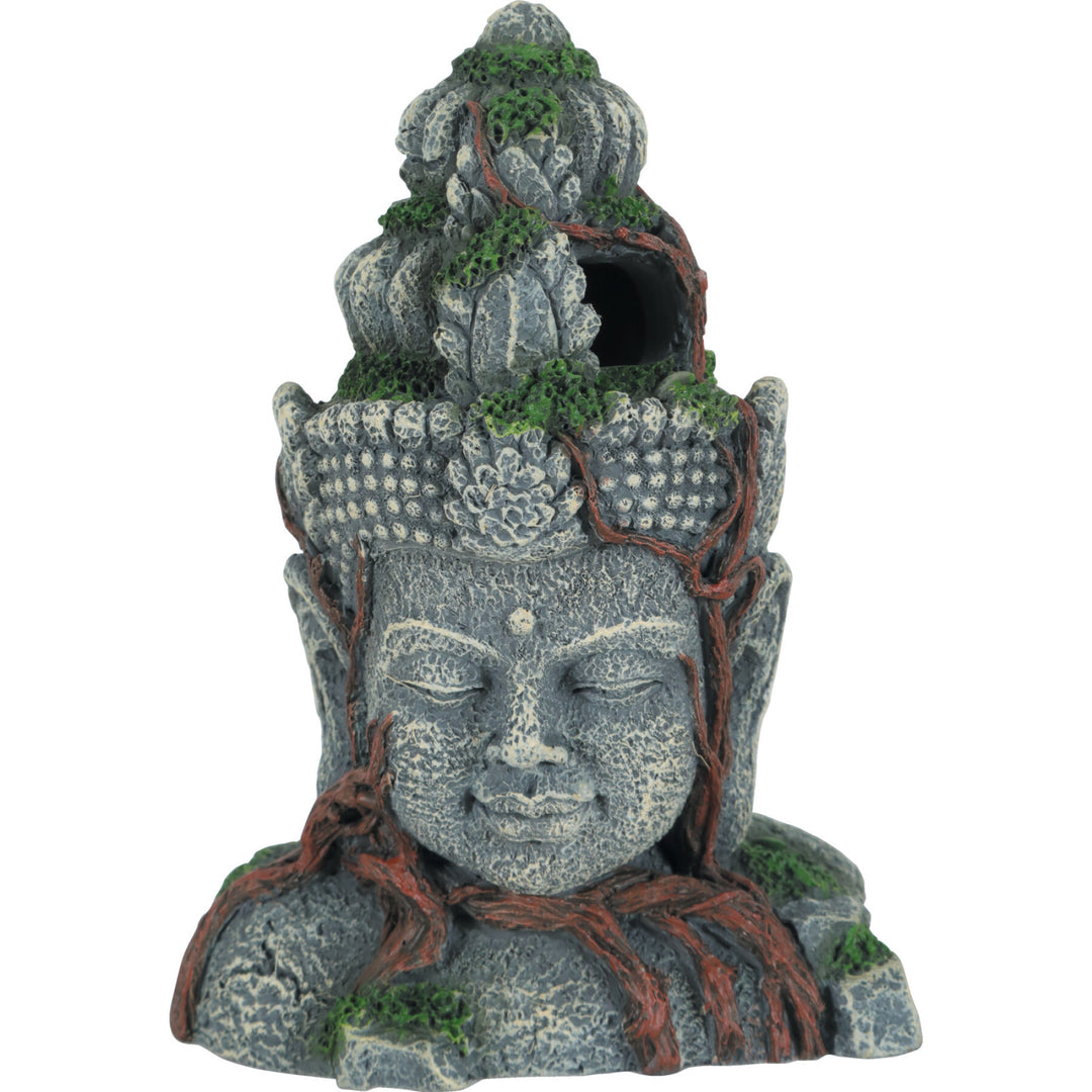 Statue d'Asie Tête