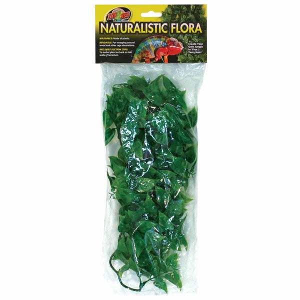 Zoomed Naturalistic Flora Mexican Phyllo